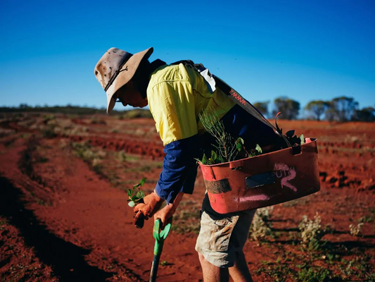 One tree is planted for every customer