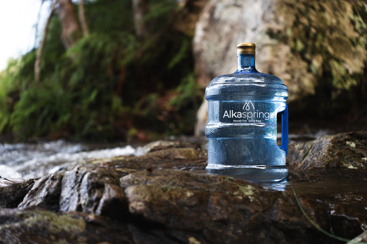 Alkasprings spring water bottle on a log beside a rainforest creek