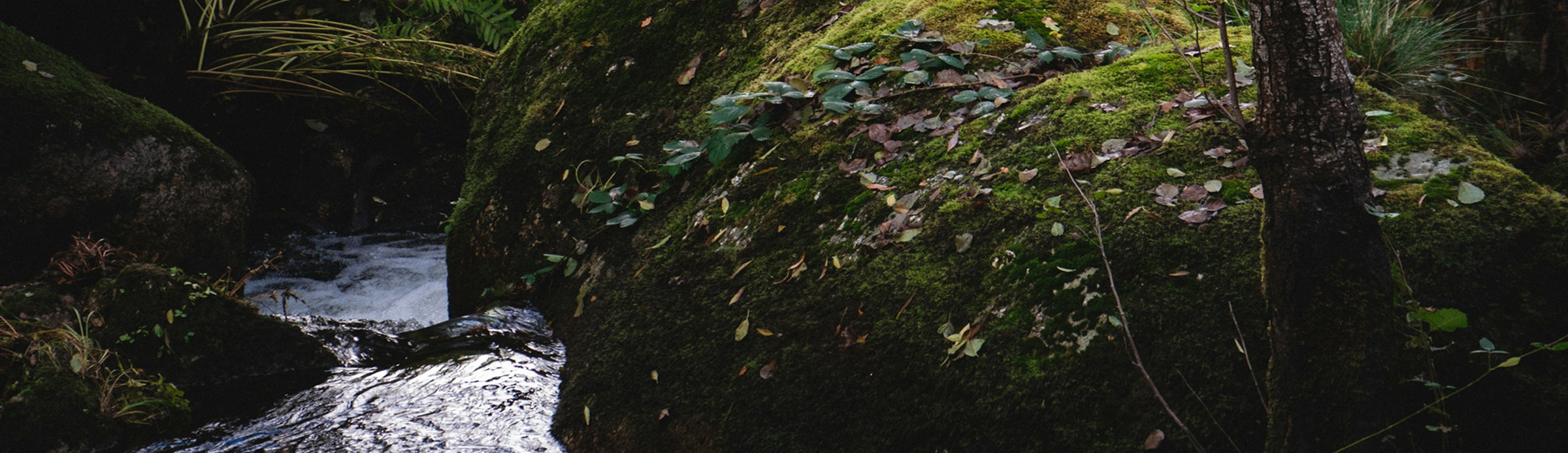 Refill Pure Spring Water Anytime 24/7